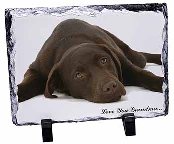 Chocolate Labrador Grandma, Stunning Photo Slate