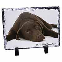 Chocolate Labrador Grandma, Stunning Photo Slate