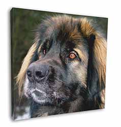 Black Leonberger Dog Square Canvas 12"x12" Wall Art Picture Print