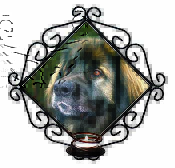 Black Leonberger Dog Wrought Iron Wall Art Candle Holder