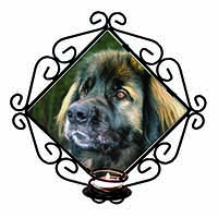 Black Leonberger Dog Wrought Iron Wall Art Candle Holder