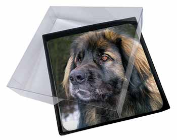 4x Black Leonberger Dog Picture Table Coasters Set in Gift Box