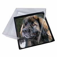 4x Black Leonberger Dog Picture Table Coasters Set in Gift Box