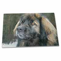 Large Glass Cutting Chopping Board Black Leonberger Dog