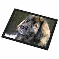 Black Leonberger Dog Black Rim High Quality Glass Placemat