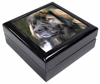 Black Leonberger Dog Keepsake/Jewellery Box