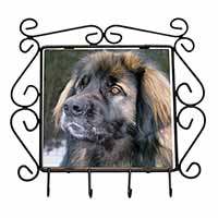 Black Leonberger Dog Wrought Iron Key Holder Hooks