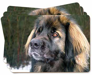 Black Leonberger Dog Picture Placemats in Gift Box
