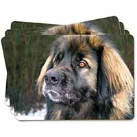 Black Leonberger Dog Picture Placemats in Gift Box