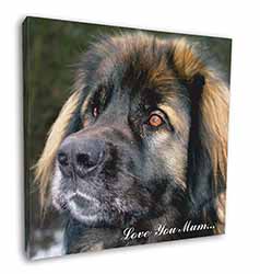 Black Leonberger 