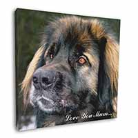 Black Leonberger 