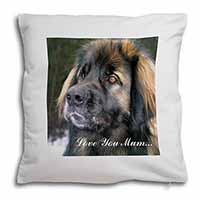 Black Leonberger 