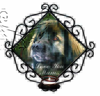 Black Leonberger 