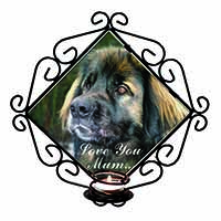 Black Leonberger 