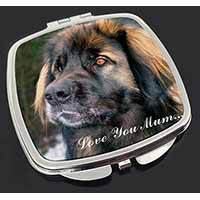 Black Leonberger 