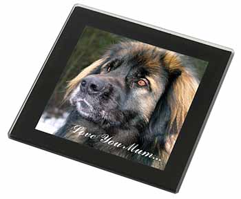 Black Leonberger 