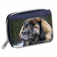 Black Leonberger 