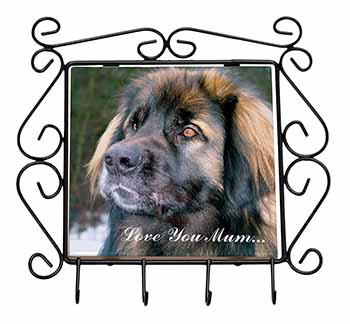 Black Leonberger 