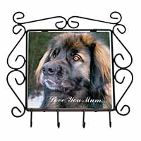 Black Leonberger 