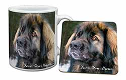 Black Leonberger 