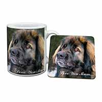 Black Leonberger 