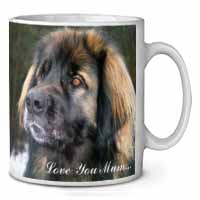 Black Leonberger 