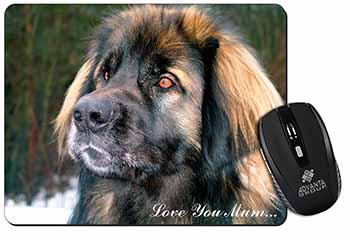 Black Leonberger 