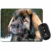 Black Leonberger 