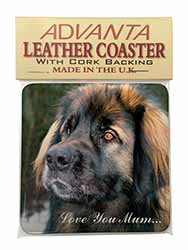 Black Leonberger 