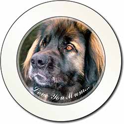 Black Leonberger 