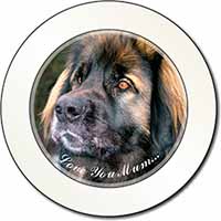 Black Leonberger 