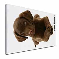Chocolate Labrador Dog Love Canvas X-Large 30"x20" Wall Art Print