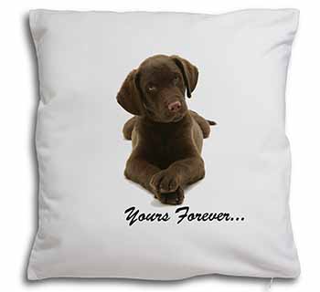 Chocolate Labrador Dog Love Soft White Velvet Feel Scatter Cushion