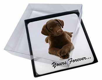 4x Chocolate Labrador Dog Love Picture Table Coasters Set in Gift Box