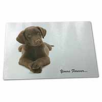 Large Glass Cutting Chopping Board Chocolate Labrador Dog Love
