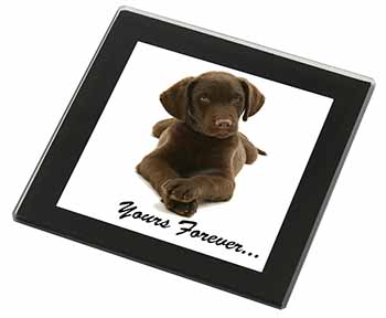 Chocolate Labrador Dog Love Black Rim High Quality Glass Coaster