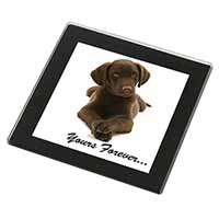Chocolate Labrador Dog Love Black Rim High Quality Glass Coaster