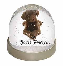 Chocolate Labrador Dog Love Snow Globe Photo Waterball