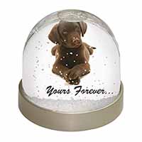Chocolate Labrador Dog Love Snow Globe Photo Waterball