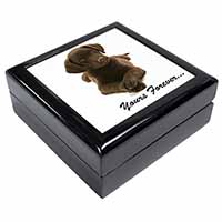 Chocolate Labrador Dog Love Keepsake/Jewellery Box