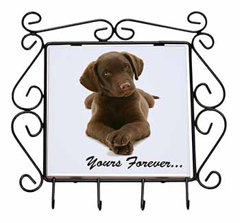 Chocolate Labrador Dog Love Wrought Iron Key Holder Hooks