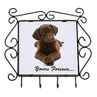 Chocolate Labrador Dog Love Wrought Iron Key Holder Hooks