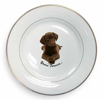 Chocolate Labrador Dog Love Gold Rim Plate Printed Full Colour in Gift Box