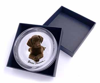 Chocolate Labrador Dog Love Glass Paperweight in Gift Box