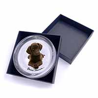 Chocolate Labrador Dog Love Glass Paperweight in Gift Box