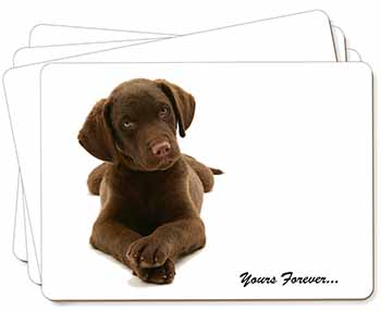 Chocolate Labrador Dog Love Picture Placemats in Gift Box