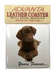 Chocolate Labrador Dog Love Single Leather Photo Coaster