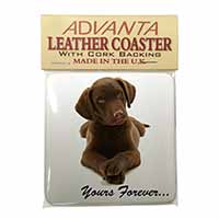 Chocolate Labrador Dog Love Single Leather Photo Coaster