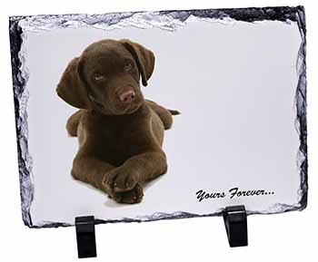 Chocolate Labrador Dog Love, Stunning Photo Slate