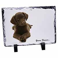 Chocolate Labrador Dog Love, Stunning Photo Slate